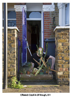 Offered: Cacti in 3ft trough, E11